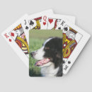Suche nach border collie spielkarten Dog