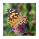 Suche nach gemalt fliesen Natur