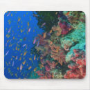 Suche nach schwärmer mousepads Fisch