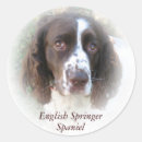 Suche nach english springer spaniel aufkleber Haustier