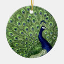 Suche nach vintager pfau ornamente Federn