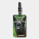 Suche nach lama geschenke Personalisiert