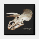 Suche nach triceratops magnete Dinosaurier