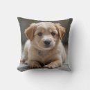 Suche nach kuscheln kissen Hund