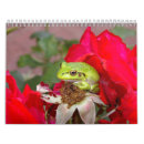 Suche nach frosch kalender Natur