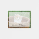 Suche nach junges tier post it Katze