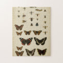 Suche nach raupen puzzle Insekten