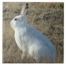 Suche nach hasen fliesen Kaninchen