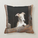 Suche nach windhunde kissen Sighthound