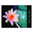 Suche nach rosa lilien poster Lotus
