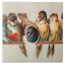 Suche nach taube fliesen Niedlich