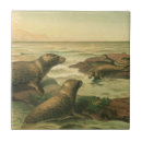 Suche nach siegel fliesen Strand