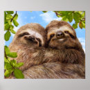 Suche nach lustige valentine poster Lustiges tier