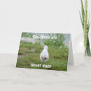 Suche nach bewegung karten Auf wiedersehen