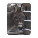 Suche nach graues pferd magnete Tiere