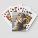 Suche nach katzen spielkarten Girl