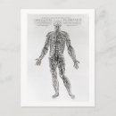 Suche nach bedingungen postkarten Anatomie