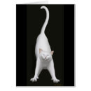 Suche nach ausdehnen Katze