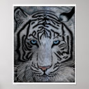 Suche nach white tiger poster Weiß