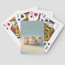 Suche nach meine ratte spielkarten Jahr der ratte