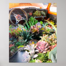 Suche nach succulents poster Cacti
