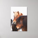 Suche nach icelandic poster Pferd