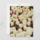 Suche nach fantasie blumen postkarten Natur