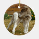 Suche nach poppy ornamente Weihnachten