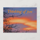 Suche nach morgenhimmel Natur