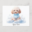 Suche nach welpen liebe postkarten Poodle