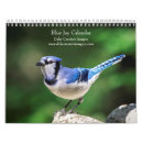 Suche nach blaues jay kalender Natur