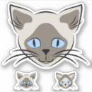Suche nach siamesisch aufkleber Miezekatze