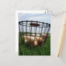 Suche nach frische eier postkarten Bauernhof