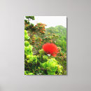 Suche nach oahu leinwandbilder Tropisch