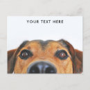 Suche nach pinkeln postkarten Hund