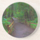 Suche nach mammutbaum untersetzer Wald