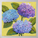 Suche nach hydrangea blume poster Hydrangeas