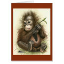 Suche nach orang utans Baby