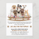 Suche nach dogs flyer Hund