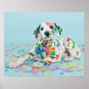 Suche nach dalmatinischer hund poster Niedlich