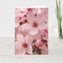 Suche nach rosa bäume karten Für sie