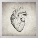 Suche nach anatomisches herz poster Medizinisch