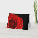 Suche nach rote rosen karten Fotografie