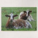 Suche nach niedliche kuh puzzle Rinder