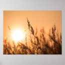 Suche nach hintergrundbeleuchtung poster Gras