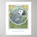 Suche nach afrikanisches grau poster Vogel