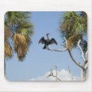 Suche nach kormoran mousepads Tierwelt