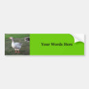 Suche nach gans autoaufkleber Vogel