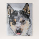 Suche nach hund im schnee puzzle Hundefreund
