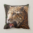 Suche nach jaguar kissen Katzen